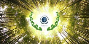 Leão assina Pacto Global da UNU