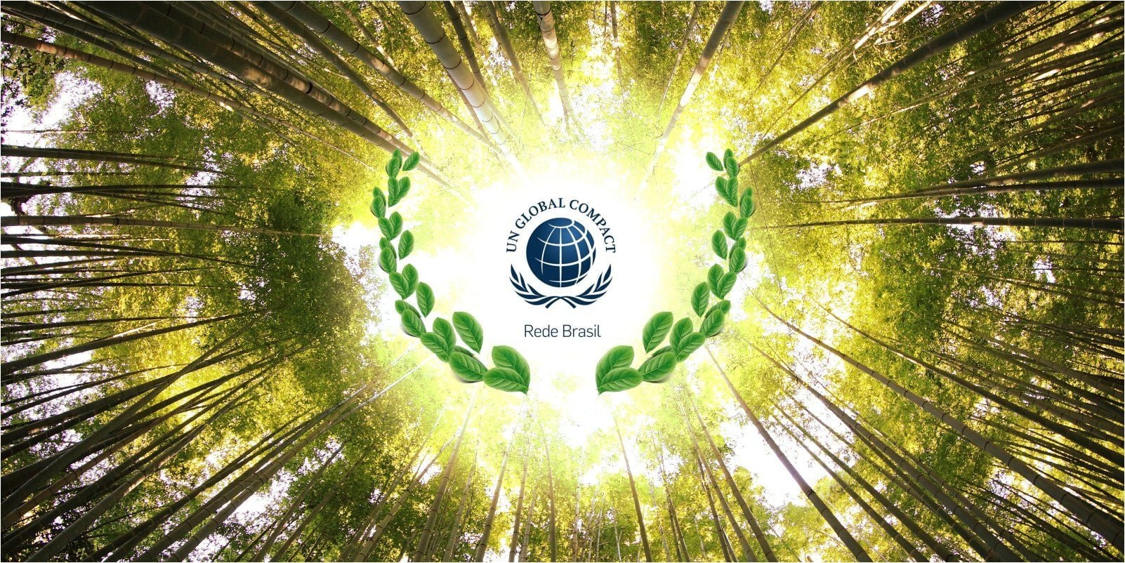 Leão assina Pacto Global da UNU